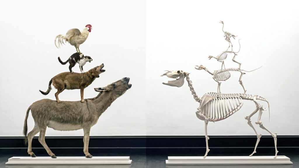 Stadtmusikanten © Maurizio Cattelan