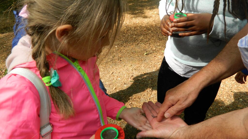 Schnecken (c) ULE Umwelt-Lernwerkstatt