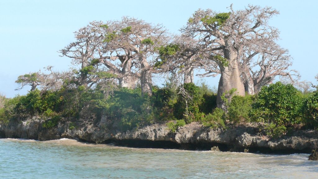 Sansibar (c) Michael Burkart