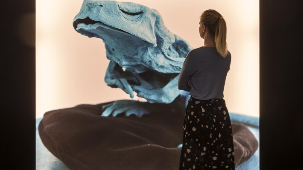 Naturalia Artistica (c) Anja Schindler, VG Bild-Kunst, Bonn 2019, Foto Volker Beinhorn